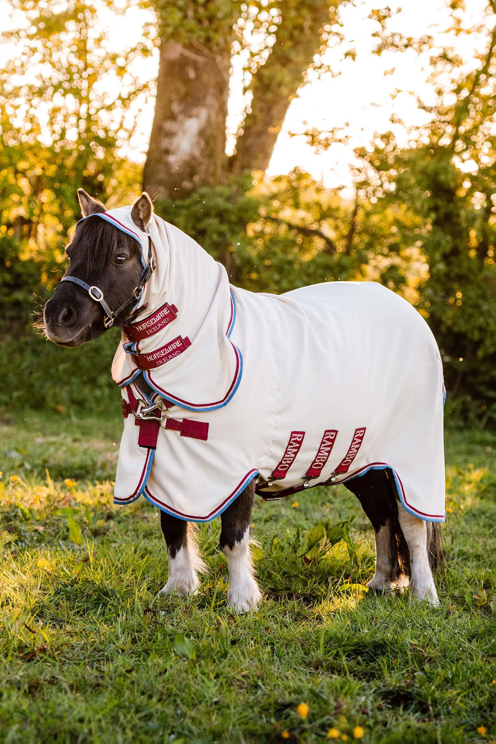 Rambo Horseware Coperta con cappuccio petite