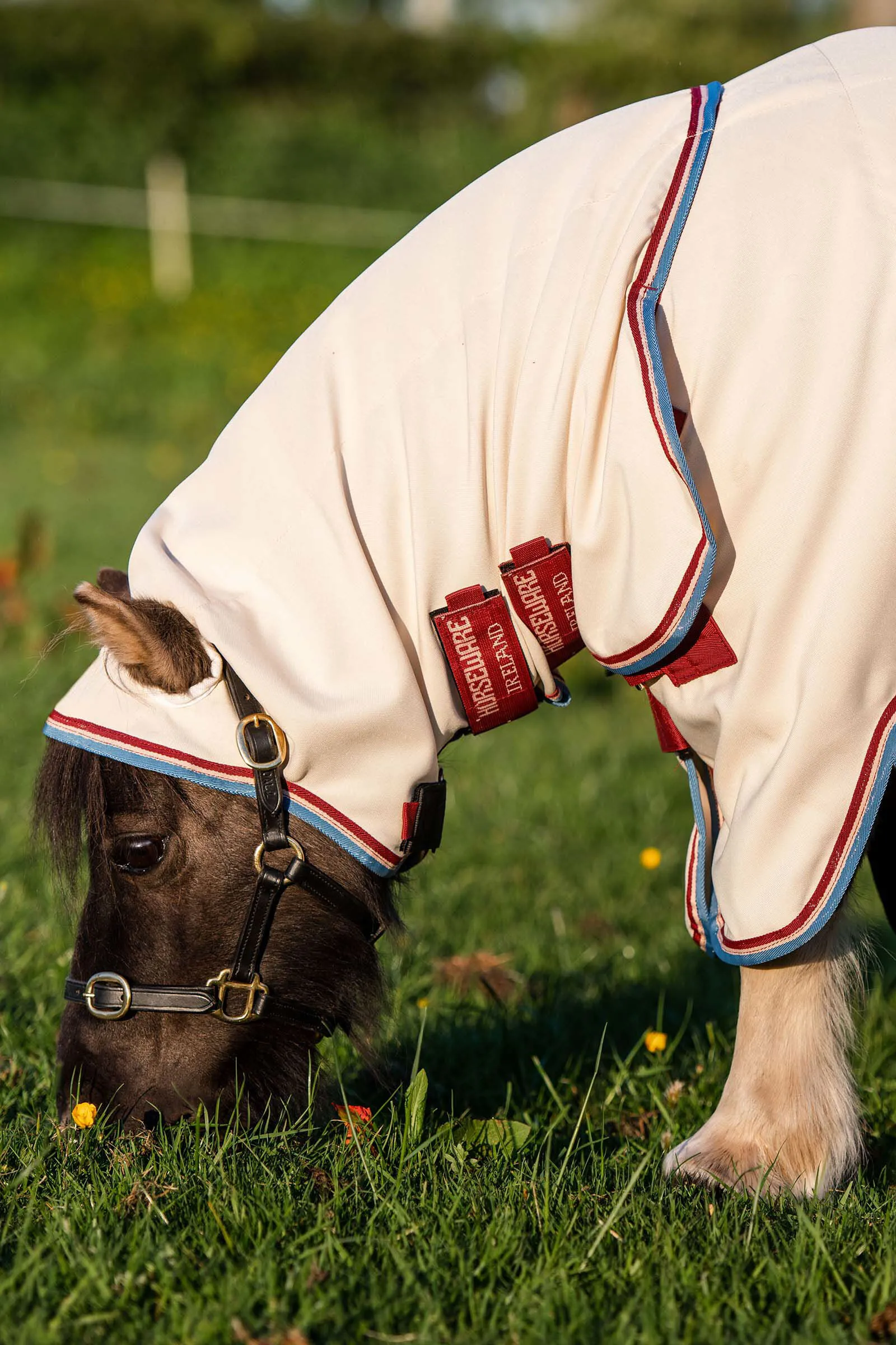 Rambo Horseware Coperta con cappuccio petite