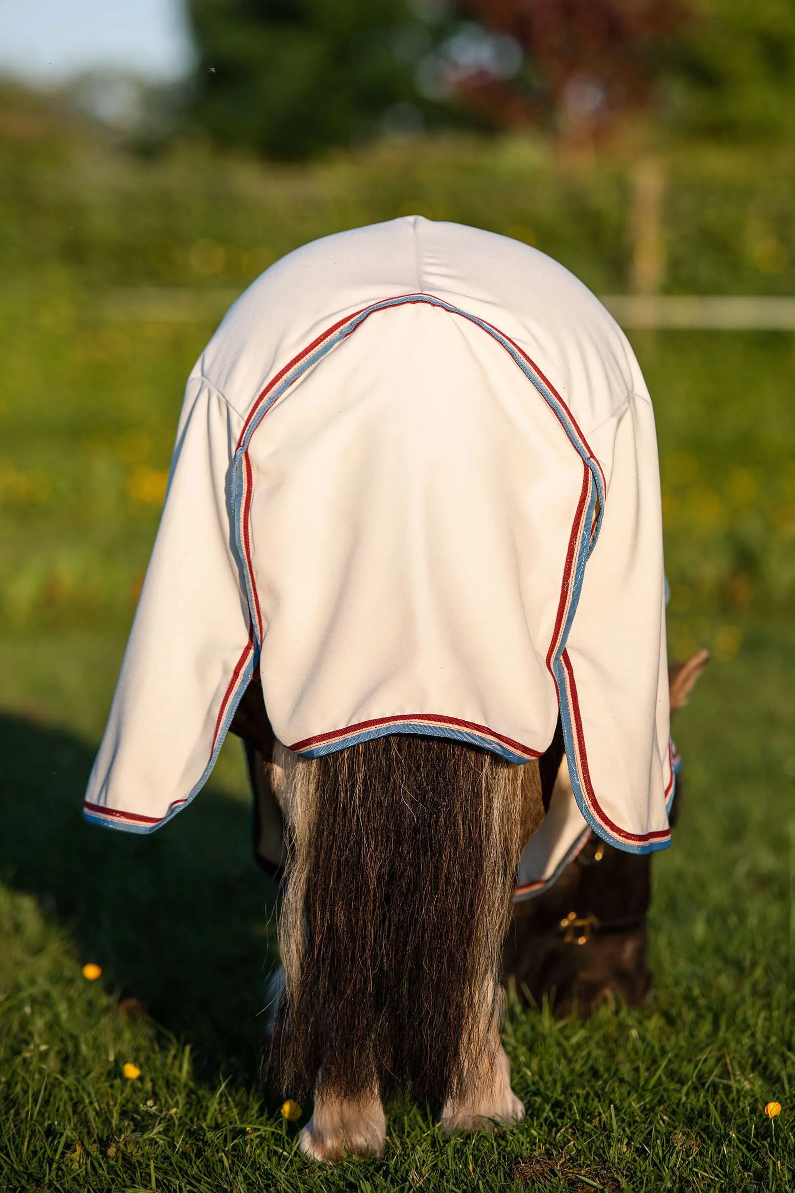 Rambo Horseware Coperta con cappuccio petite